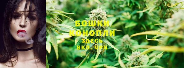 молекула духа Покачи
