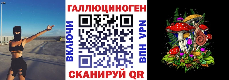 закладки  Амурск  Псилоцибиновые грибы MAGIC MUSHROOMS 