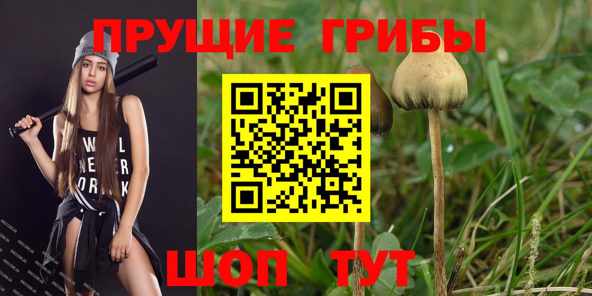 Амурск  Галлюциногенные грибы прущие грибы  Вход с VPN  Псилоцибиновые грибы Psilocybe 