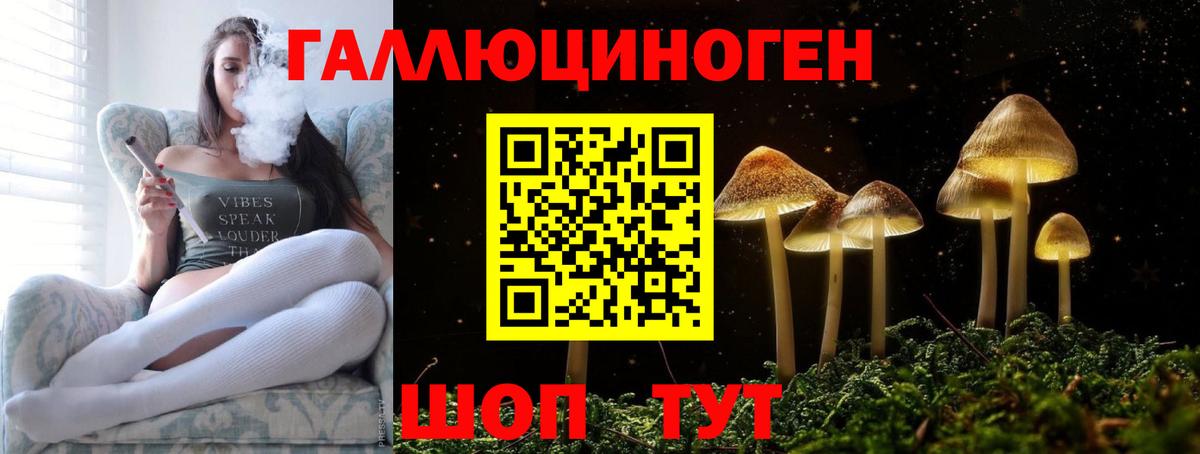 Псилоцибиновые грибы мухоморы Амурск