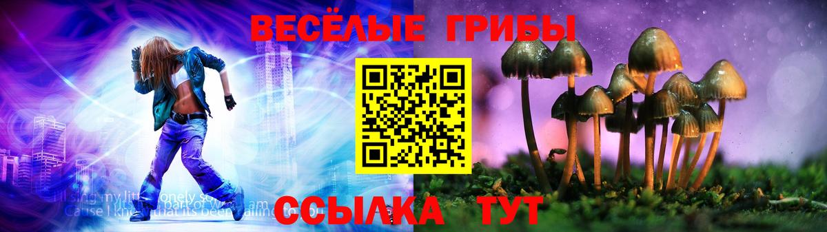 закладка  Амурск  Галлюциногенные грибы Magic Shrooms 